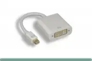Mini Displayport Male to DVI Female Adapter Cable