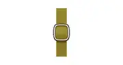 42-mm Chartreuse Modern Buckle — Small