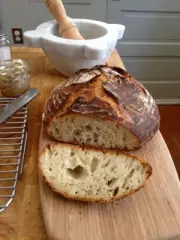 SAN FRANCISCO STARTER SOURDOUGH heirloom DEHYDRATED - 15 Gram Bag
