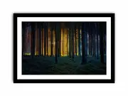 Colorful Forest Art Framed print