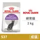 【法國皇家 Royal Canin】(即期)(S37) 絕育貓 2公斤 (貓飼料)(效期2024/8/3)