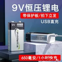 在飛比找樂天市場購物網優惠-充電電池 德力普9v充電電池萬用表6f22方塊電池充電器可快