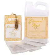 TYLERGlam Wash 32 Oz Liquid Laundry Detergent and Scented Sachet Bundle