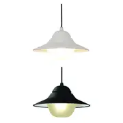 SPY Interior Pendant Light