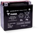 Yuasa YTX20L-BS Maintenance Free AGM For 12-Volt Battery
