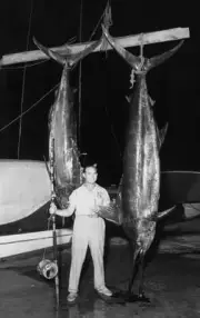 Two Blue Marlin In Cuba 1940 Old Fishing Photo