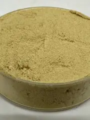 Bromelain 3000gdu Extract Powder-10gms-Origin USA