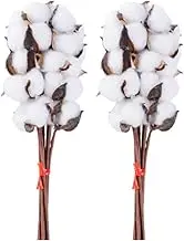 Magicherry 20 Pieces Cotton Stems Decor Branches 14.17 Inch Artificials Cotton Flowers with Head Dried Floral Stems for Farmhouse Home Kitchen Wedding Office Decor Christmas Bouquet,White