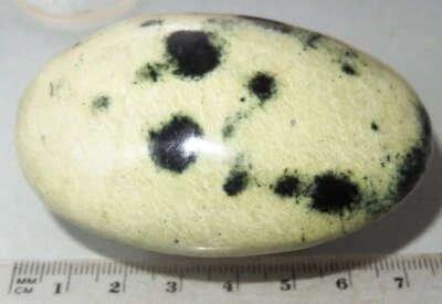LeopardStone Palm Stone Zimbabwe Africa Mineral 70x48mm 128g #lps11