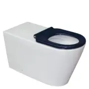 Fienza Isabella Care Back to Wall Toilet Suite, Pan + Seat + Cistern + Raised Fl