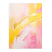 Abstract Pink And Yellow Painting Canvas Print