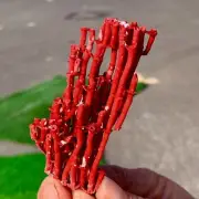 9 g Natural orange red Coral Reef Cluster Marine Mineral Crystal Specimen