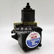 For CML VCM-SF-20B-10 Vane Pump