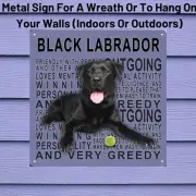 Black Labrador Portrait On Metal Sign