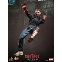 在飛比找蝦皮購物優惠-《L小舖》野獸國 Hot Toys MMS209 復仇者聯盟