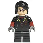 玩樂趣 LEGO樂高 76406 HARRY POTTER 全新人偶 HP349