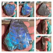 natural ammolite ammonite fossil display piece with green blue purple stabilized