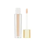 NAPOLEON CAMERA FINISH CONCEALER LN9