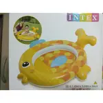 INTEX BABY游泳池 85 X 85 X 23CM (粉/綠) 57100 (有氣墊)