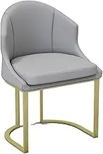 CVBFDB Dining Chairs Design Metal Executive Backrest Chair Leisure Ergonomic Kitchen Furniture(White-Dinosaur Doodle4)