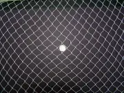 25' x 12' Blueberries Tree Fruit Protected Netting Small 3/8" (HOLE) #139