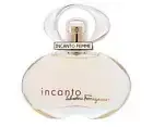 Incanto By Salvatore Ferragamo 100ml Edps Womens Perfume