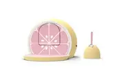 Vetreska Fruity Portable Cat Kitty Toilet Litter Box Tray House Lid Scoop Set Grapefruit