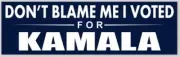 Don't Blame Me I Voted For Kamala Harris 3x10 Inch Bumper Sticker