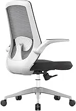 Classic Mesh High Back Computer Chair Home Study Swivel Seat Adjustable Armrests and Ergonomic Design Office Chair Thickened Cushion Desk Chairs Desk Task Chair(Black)