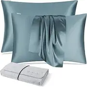 DISANGNI 100% Natural Mulberry Silk Pillow case for Hair and Skin with Hidden Zipper 22 Momme Both Sides Real Silk Pillow Case (2pc Standard Size 20" x26", Blue Gray)