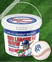 Big League Chew Gumballs Bubble Gum Original Flavor Individually Wrapped 80 Pcs
