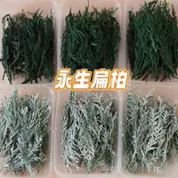 在飛比找蝦皮購物優惠-一盒15克 永生扁柏 乾燥花 聖誕花圈 材料 聖誕樹 擴香花