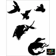 NEW WATERFOWL DECAL MALLARDS GETTIN WHACKED DUCK BUMPER STICKER CHROME 6X8
