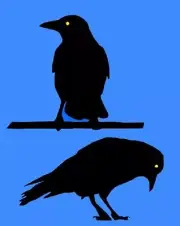 STENCIL Crow Black Bird Tree Mylar Airbrush Durable Reusable Sign L639