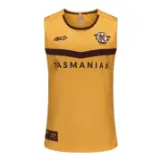 Hawthorn Hawks 2025 Training Singlet Sizes Small - 5XL Gold-Brown AFL ISC