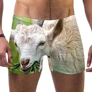 [VBFOFBV] Men's Printed Jammer Swimsuit Swim Shorts, Animal Lion Couple