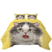 Adorable Cats Scared Grey Kitten Coverlet