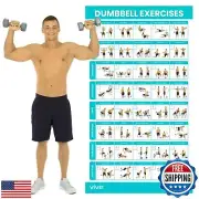 Vive Dumbbell Workout Poster - Home Gym Exercise for Upper, Lower, Full Body