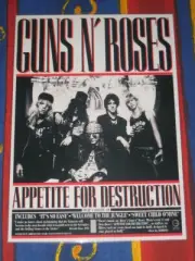 Guns N And Roses - Appetite For Destruction - Laminated Promo Poster - NEW