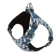 Floral Doggy Harness Saxony Blue