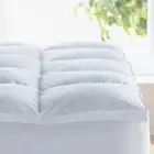 2 In. Queen Size 300-Thread Count 100% Egyptian Cotton Hypoallergenic down Alter