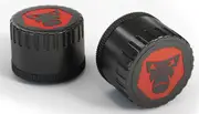 RideLink TireGuard, tire pressure monitoring