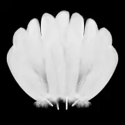 300Pcs White Feathers for Crafting,5-7Inch Bulk Natural Feathers for Kindergarte