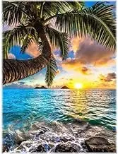 Syntego 5D DIY Diamond Painting Art for Adults 40 x 30cm, Round Crystal Rhinestone Canvas s for Arts and Crafts & Wall Decor (Ocean Palm Tree)