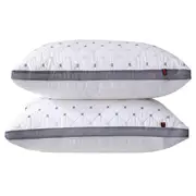 2 Pack Hotel Quality Ultra Soft Pillows