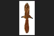 Ethical Pet Plush Skinneeez 24-Inch Dog Toy, Squirrel