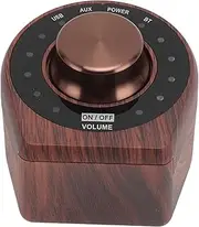 Diyeeni 5.0 Small Amplifier, HiFi 100Wx2 2.0CH Stereo Sound, Rich Music Transfer Via AUX USB BT, Compact Design, with LED Indicators for Dynamic Visual Enjoyment, Diyeeniu39rghka0g