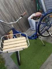 Ladies Bicycle New