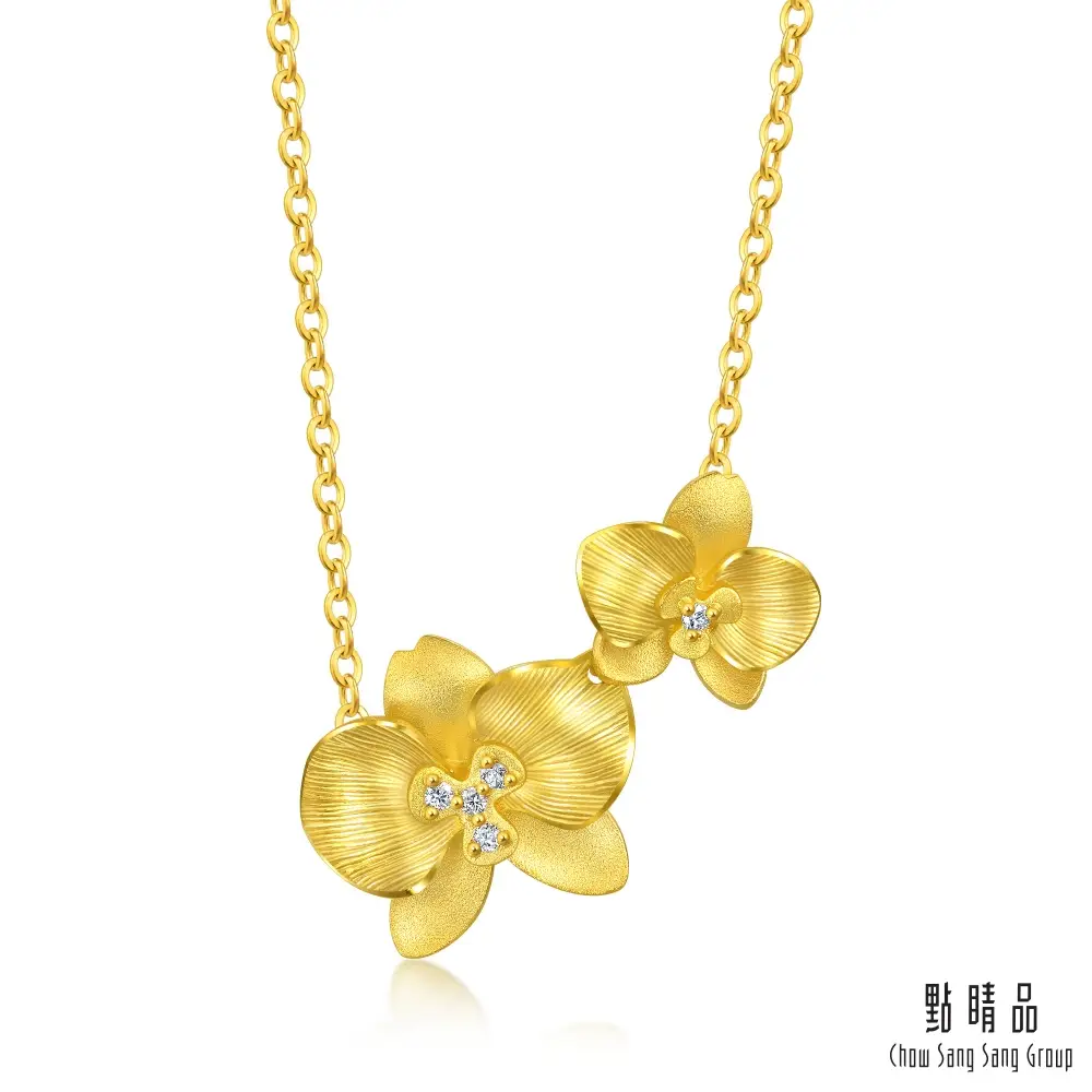 黃金蝴蝶蘭的價格推薦- 2026年01月|飛比價格