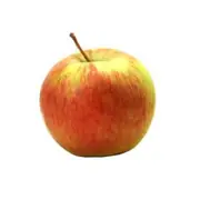 Organic Juicing Apples Half Box - Fresh, healthy organic delivery | Doorstep Organics